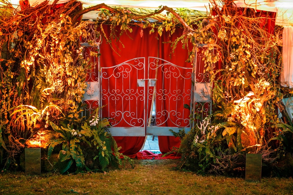 Enchanted Forest party planned - stunning entrance
