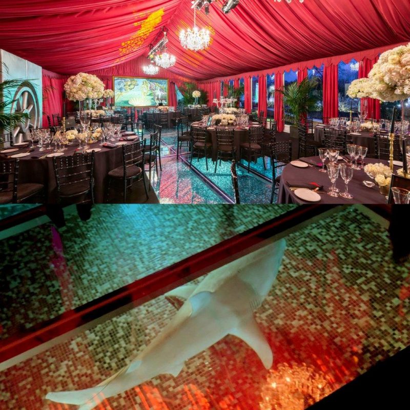 Marquee over a pool with clear floor and a shark prop